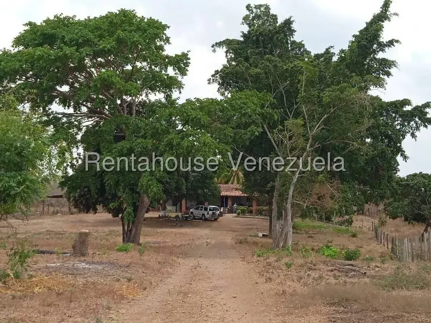 Comercio en Venta en Carretera Caracas-Barbacoa, Aragua - 38