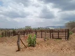 Vista 49