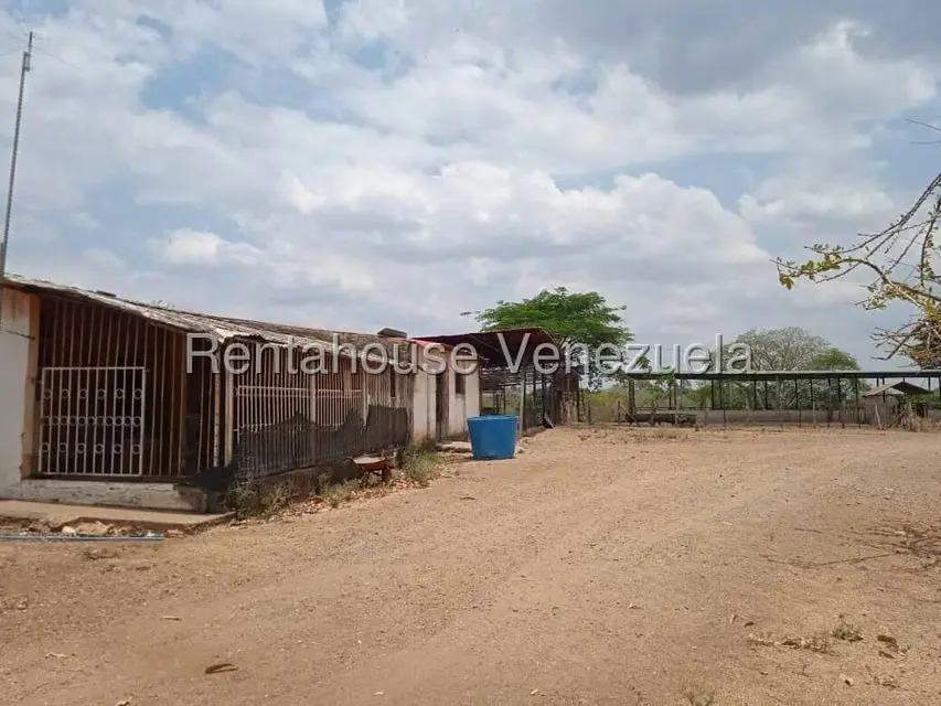 Comercio en Venta en Carretera Caracas-Barbacoa, Aragua - 51
