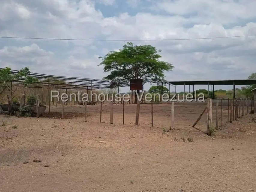 Comercio en Venta en Carretera Caracas-Barbacoa, Aragua - 53