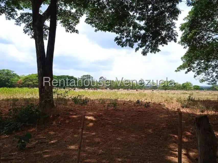 Comercio en Venta en Carretera Caracas-Barbacoa, Aragua - 54