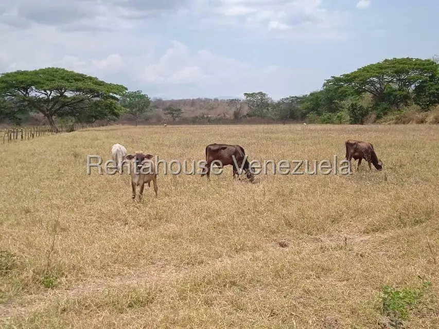 Comercio en Venta en Carretera Caracas-Barbacoa, Aragua - 55