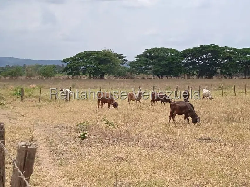 Comercio en Venta en Carretera Caracas-Barbacoa, Aragua - 56