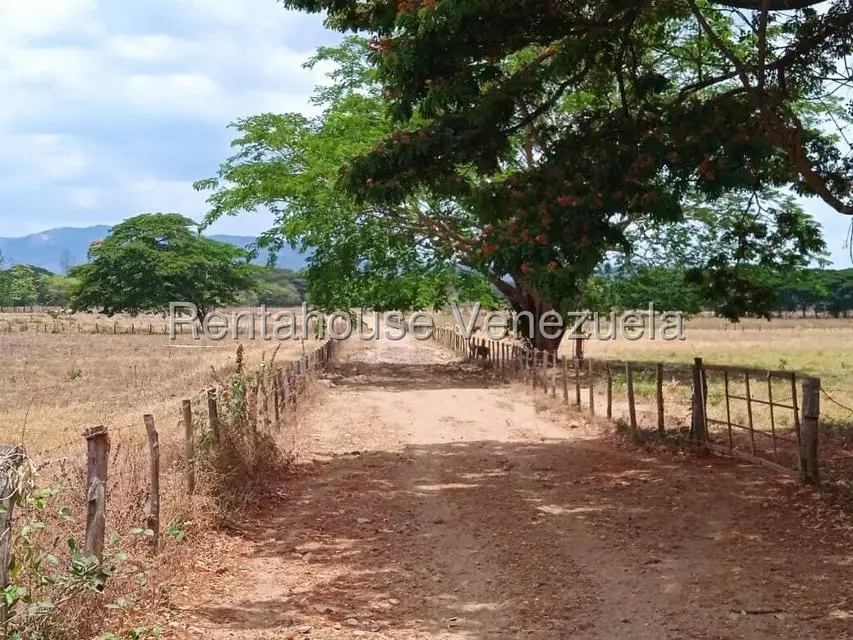 Comercio en Venta en Carretera Caracas-Barbacoa, Aragua - 57