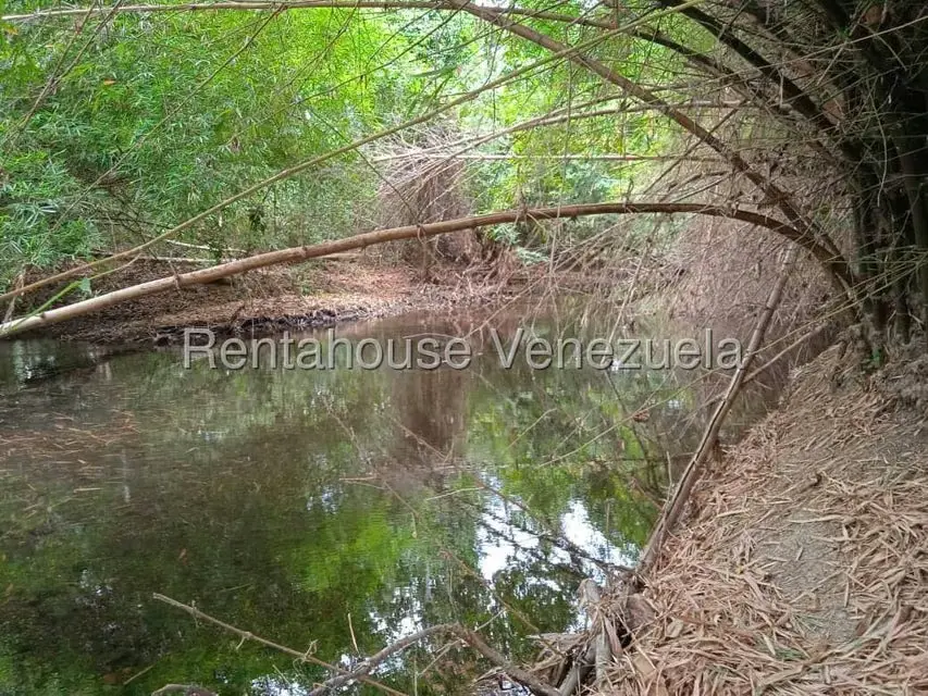 Comercio en Venta en Carretera Caracas-Barbacoa, Aragua - 58