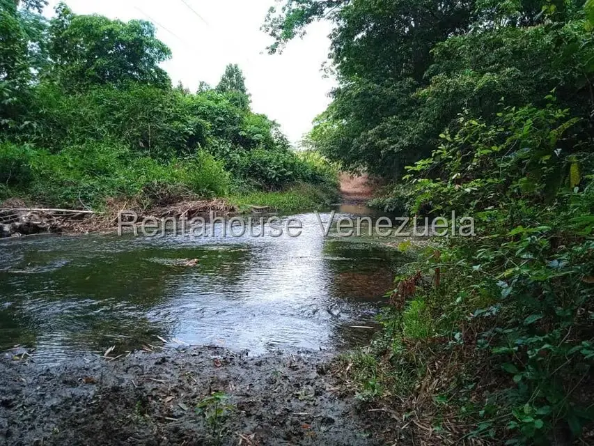 Comercio en Venta en Carretera Caracas-Barbacoa, Aragua - 60