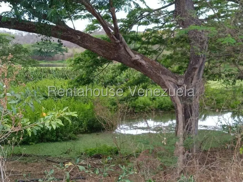 Comercio en Venta en Carretera Caracas-Barbacoa, Aragua - 62