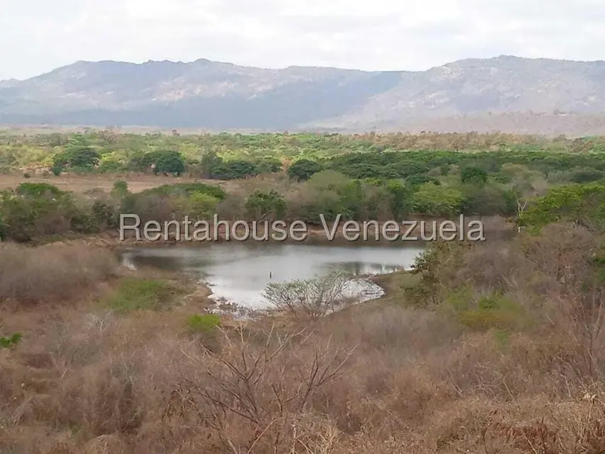 Comercio en Venta en Carretera Caracas-Barbacoa, Aragua - 65