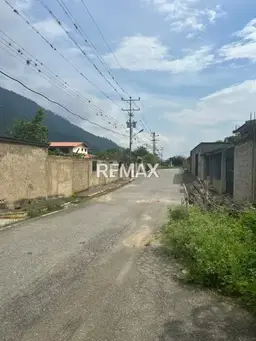 Vista 3