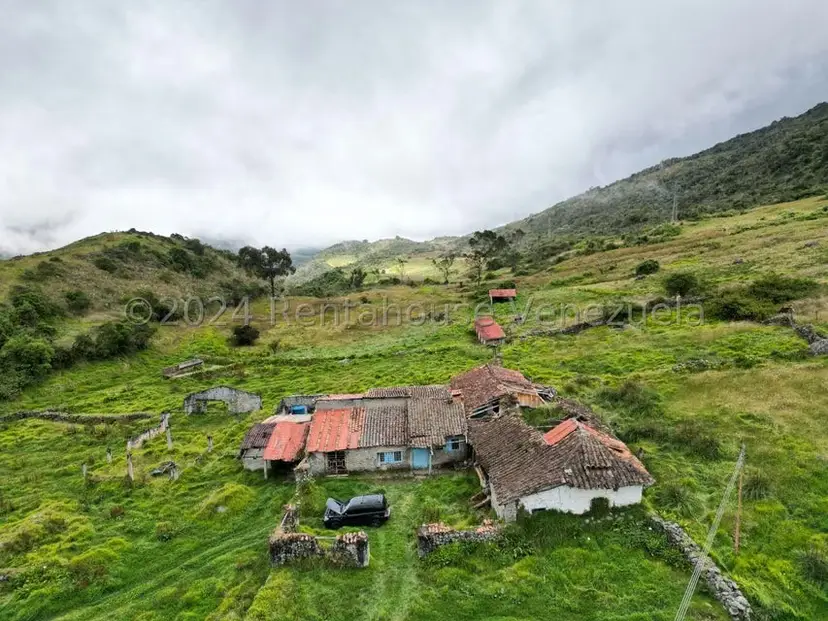 Terreno (Finca) en Venta en Pueblo Viejo, Merida