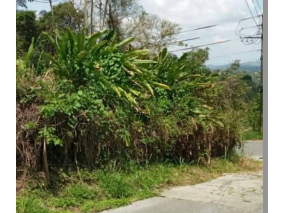 DS-Venta de terreno en Oripoto - 4