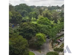 Vista 11