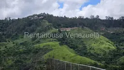 View 50