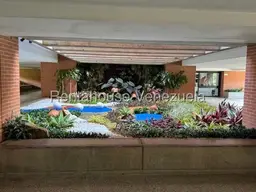 Vista 16