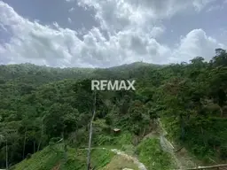 Vista 13