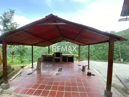 Vista 14
