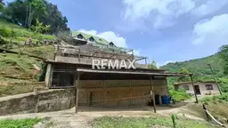 Vista 16