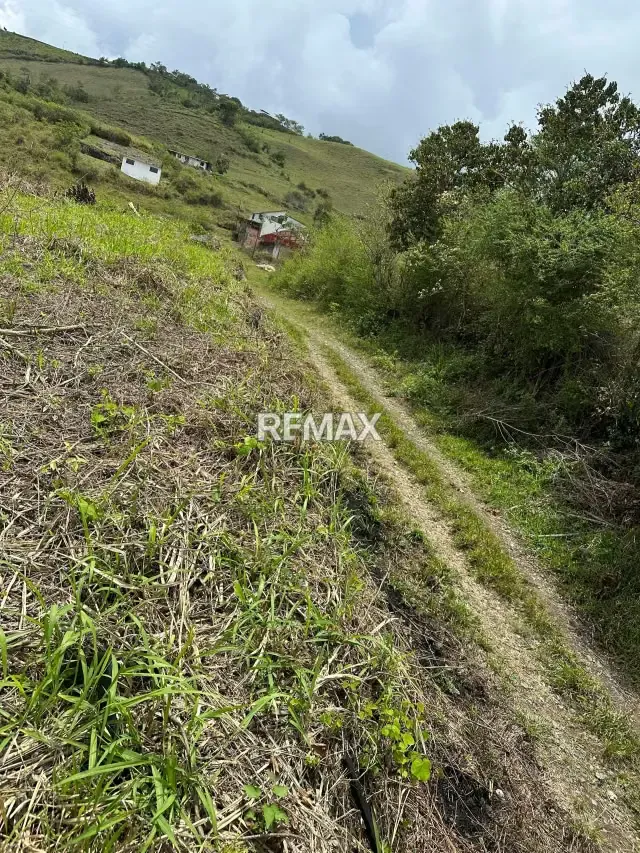 TERRENO EN VENTA EN LA LAJA - 4