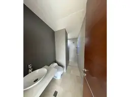 Vista 5