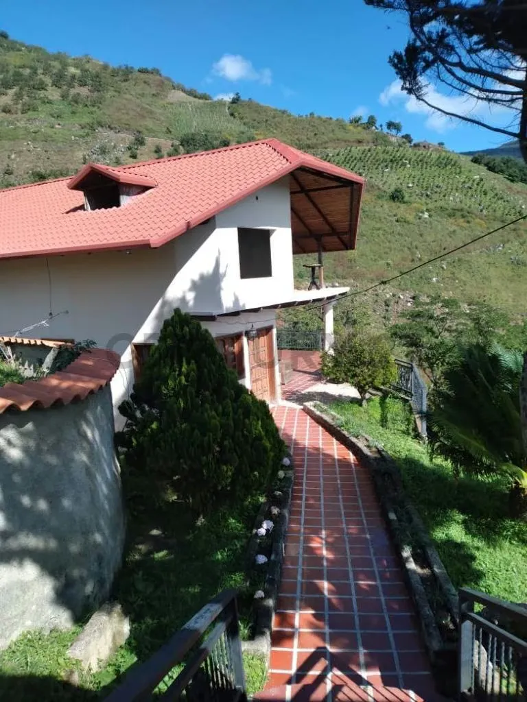 Venta de Amplia Casa en la Colonia Tova - 4