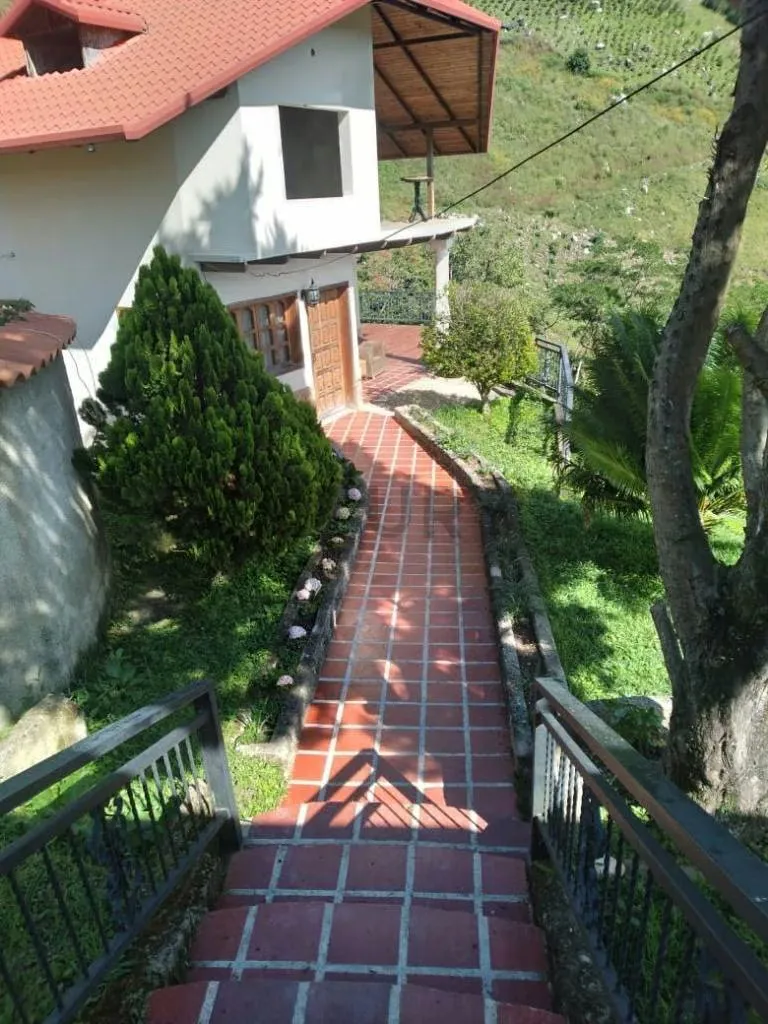 Venta de Amplia Casa en la Colonia Tova - 5