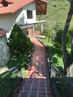 Vista 5