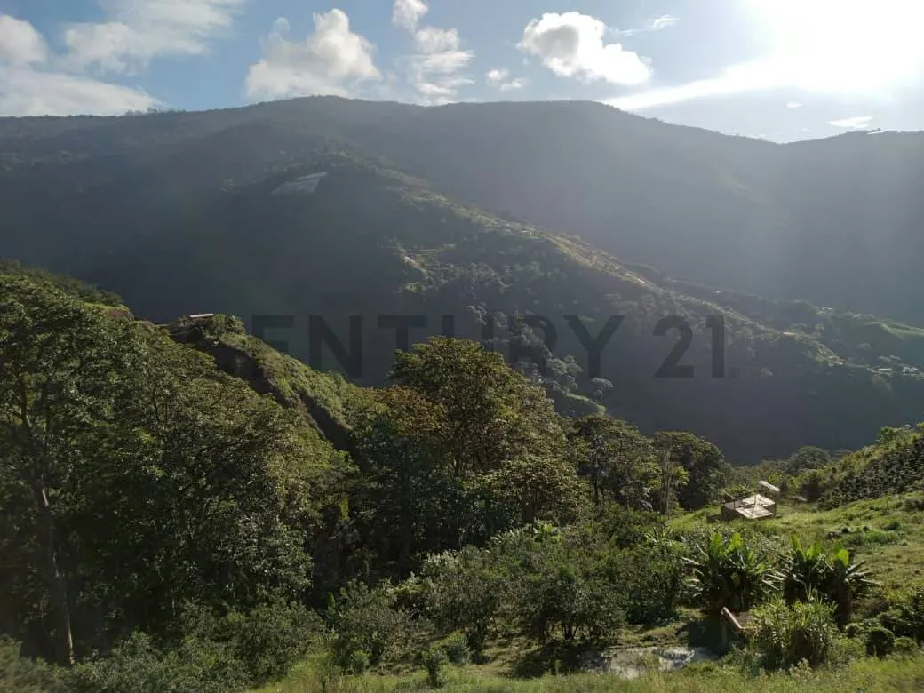 Venta de Amplia Casa en la Colonia Tova - 10
