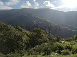 Vista 10