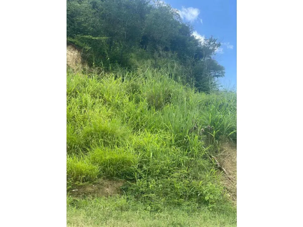 Vendo terreno 45.000m2 Guatire 0825 - 12