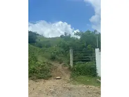 Vista 7