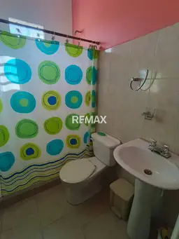 Vista 12