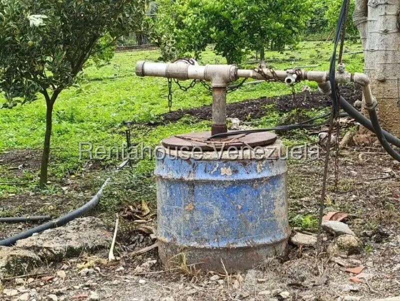 Terreno (Finca) en Venta en Sector El Carmen, Aragua - 101