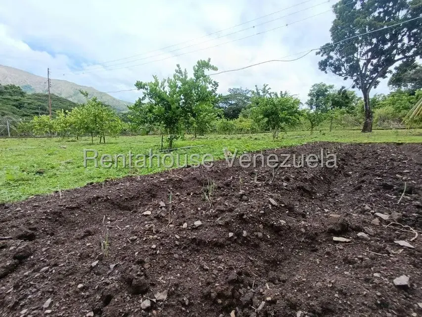 Terreno (Finca) en Venta en Sector El Carmen, Aragua - 102