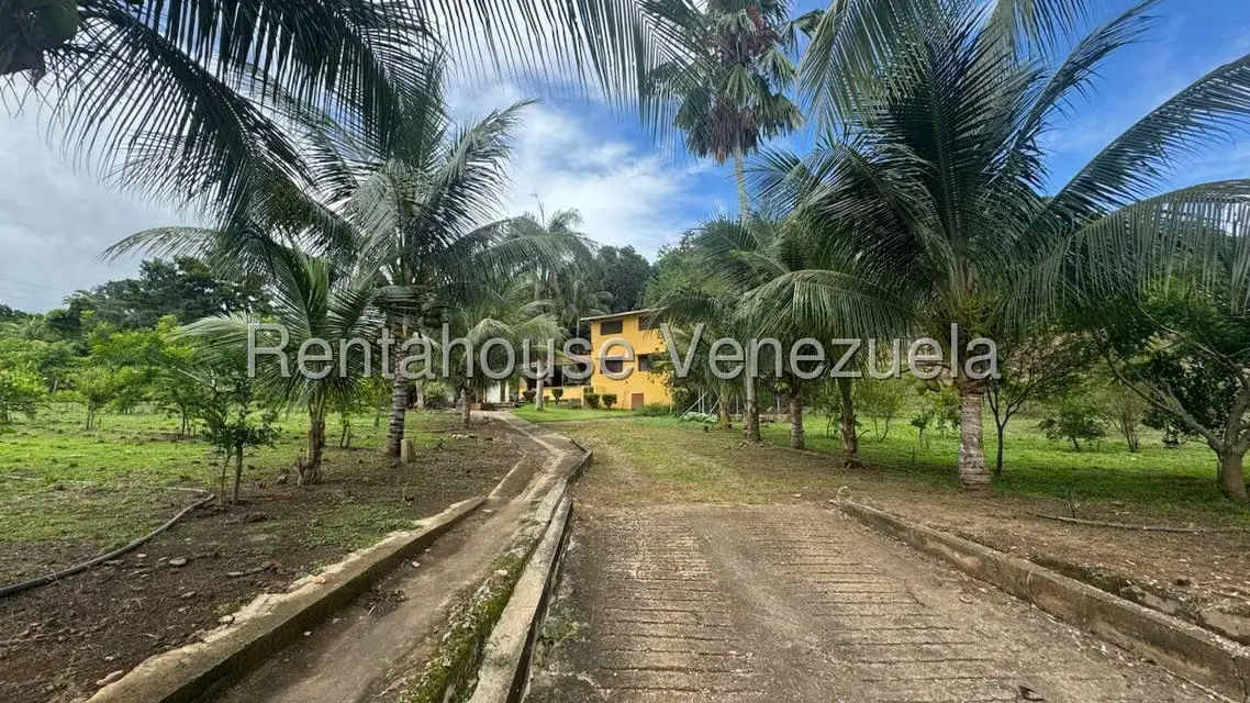 Terreno (Finca) en Venta en Sector El Carmen, Aragua - 111