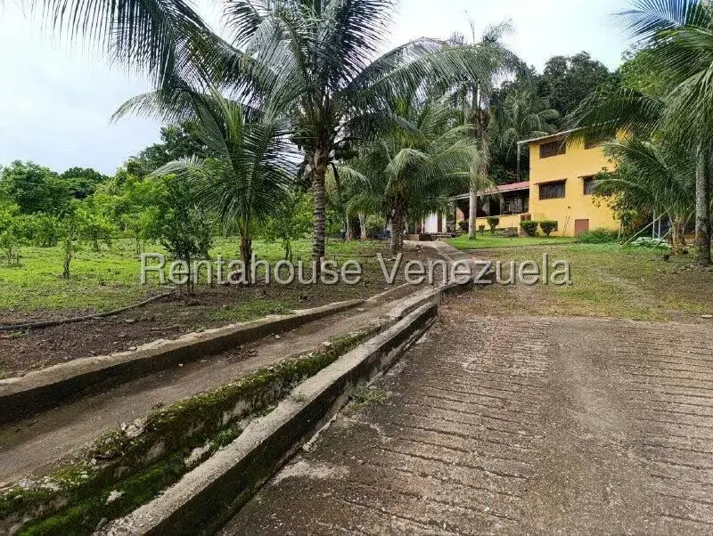 Terreno (Finca) en Venta en Sector El Carmen, Aragua - 113