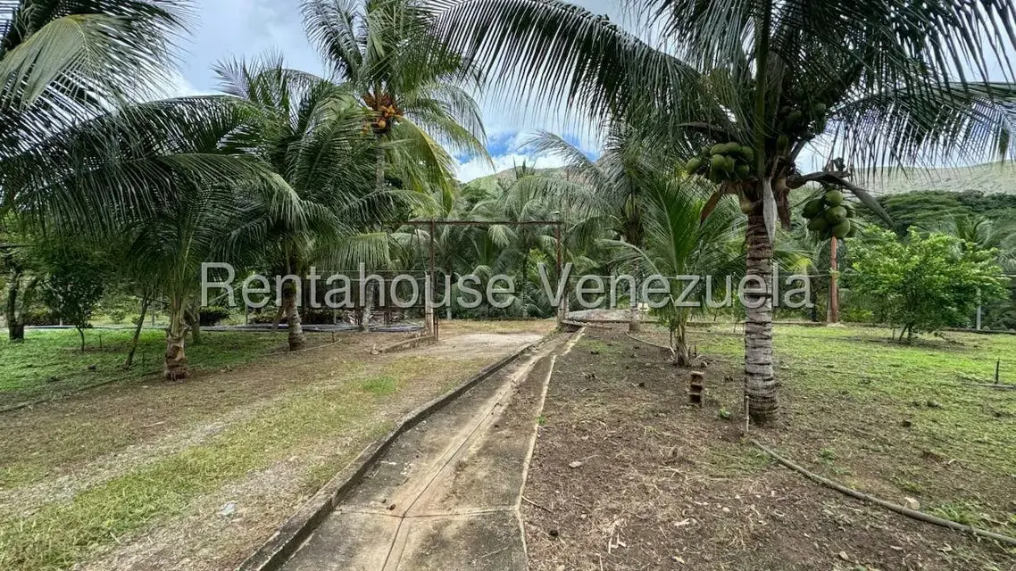 Terreno (Finca) en Venta en Sector El Carmen, Aragua - 117