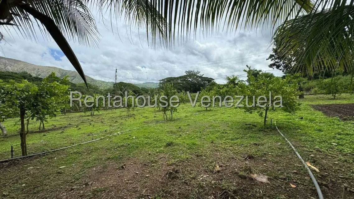 Terreno (Finca) en Venta en Sector El Carmen, Aragua - 118