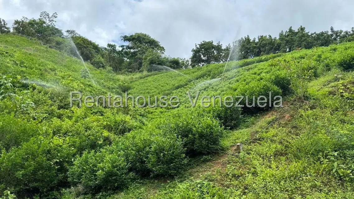 Terreno (Finca) en Venta en Sector El Carmen, Aragua - 120