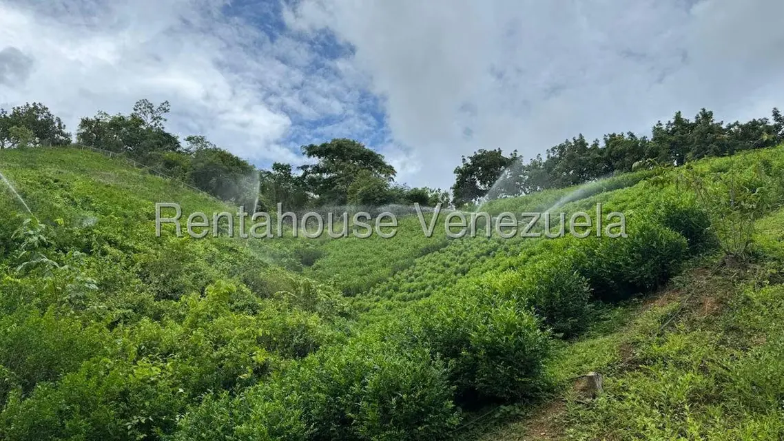 Terreno (Finca) en Venta en Sector El Carmen, Aragua - 121