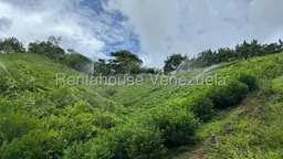 View 121