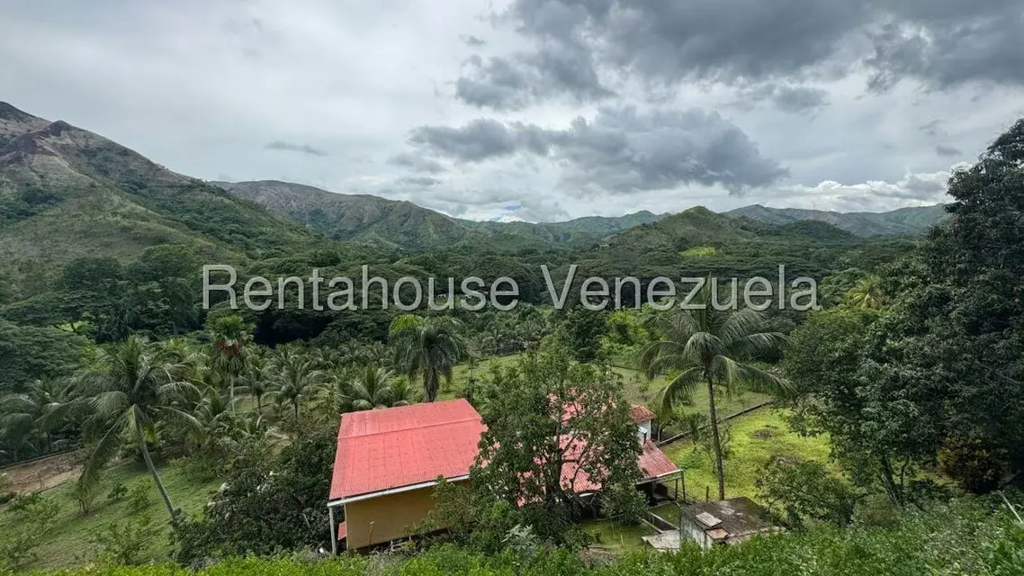 Terreno (Finca) en Venta en Sector El Carmen, Aragua - 124