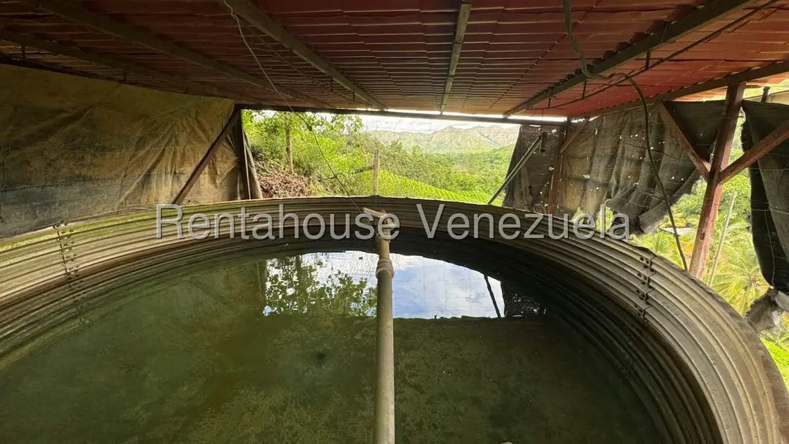 Terreno (Finca) en Venta en Sector El Carmen, Aragua - 125