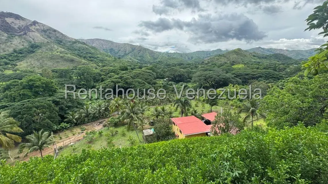 Terreno (Finca) en Venta en Sector El Carmen, Aragua - 127