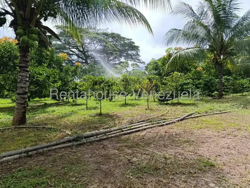 Terreno (Finca) en Venta en Sector El Carmen, Aragua - 132