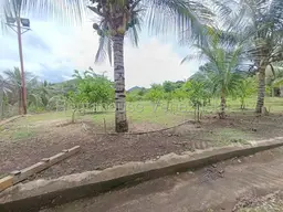 View 136
