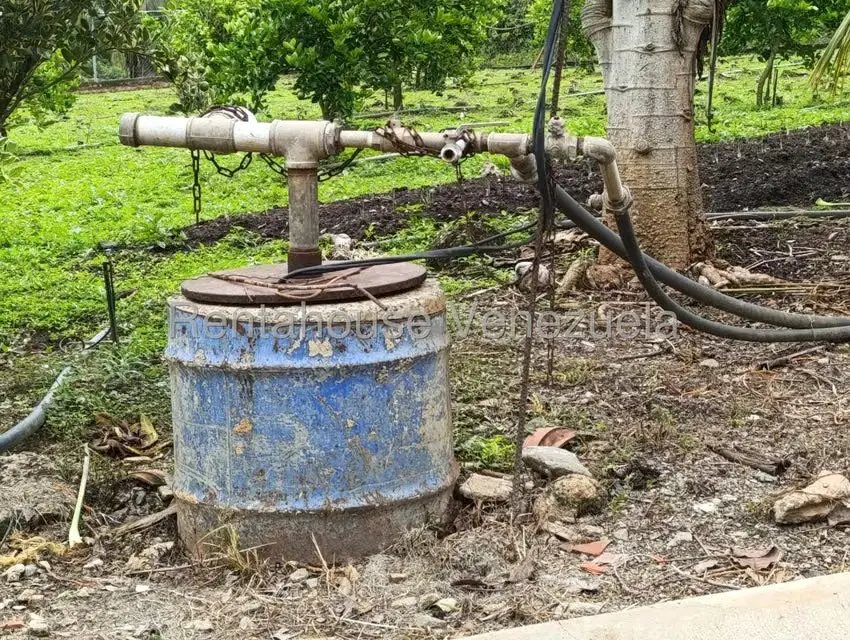 Terreno (Finca) en Venta en Sector El Carmen, Aragua - 137