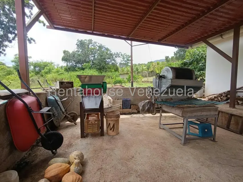 Terreno (Finca) en Venta en Sector El Carmen, Aragua - 138