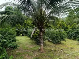 View 140