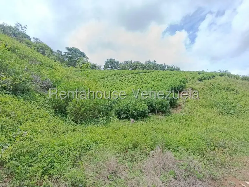 Terreno (Finca) en Venta en Sector El Carmen, Aragua - 14