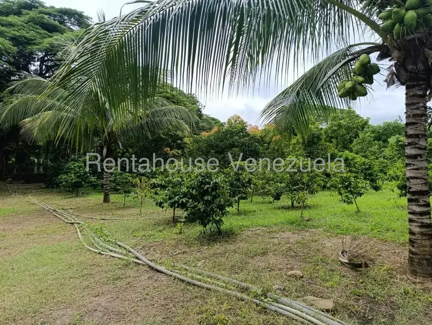Terreno (Finca) en Venta en Sector El Carmen, Aragua - 141